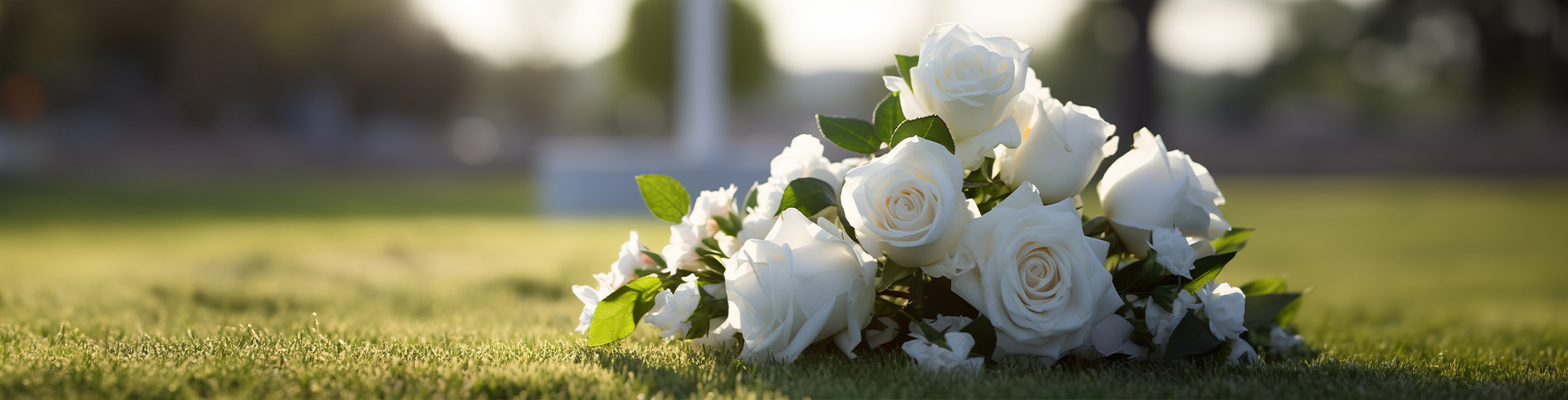 White roses